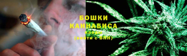 PSILOCYBIN Киренск