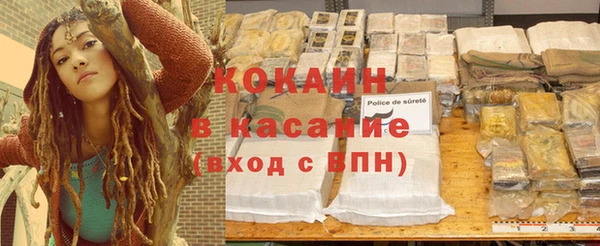 PSILOCYBIN Киренск