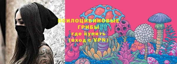 мдпв Киреевск